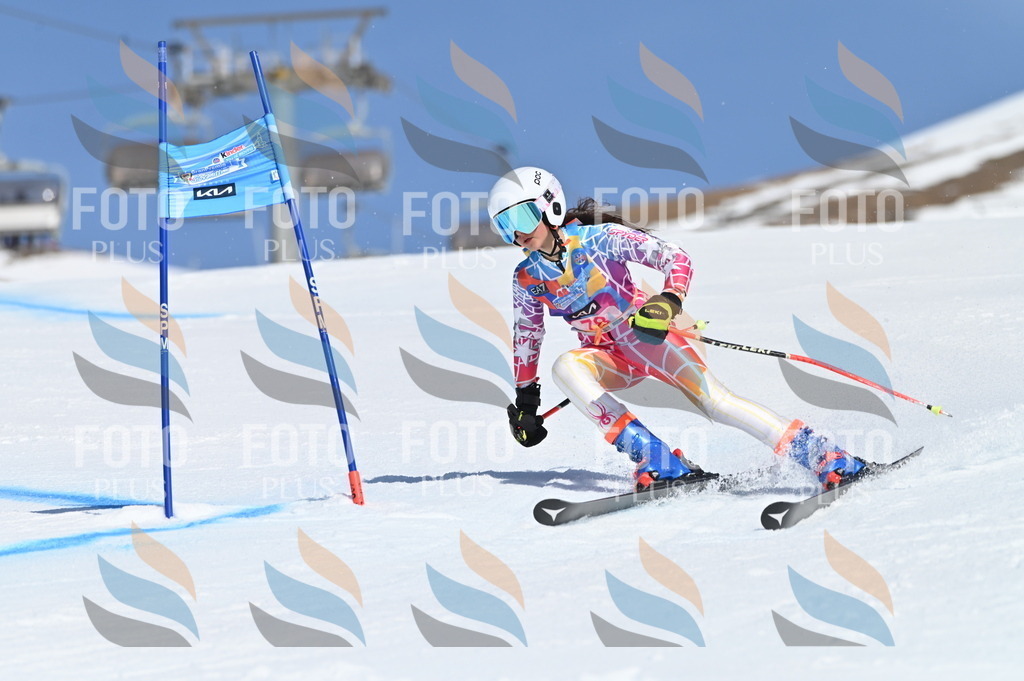 BGV_9033 | holidayphoto