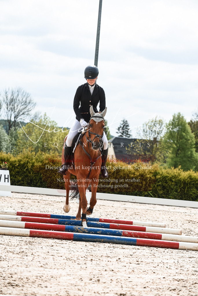 20230518_JK-Röhrsdorf-10-109 | Pferde- und Turnierfotografie in Westsachsen. Pferdeportraits, Auftragszeichnungen und intuitive Kunst.