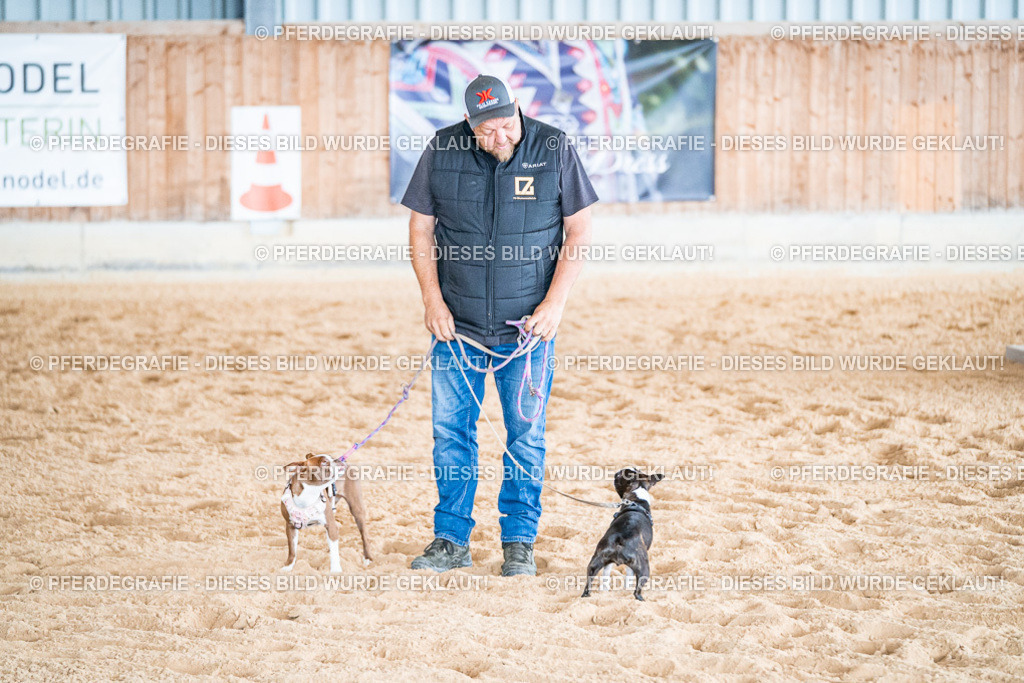 DSC09568 | Pferdegrafie