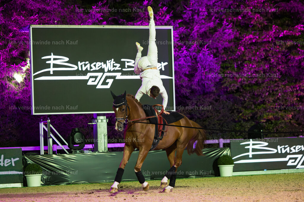 Gala-262 | working equitationturnier fotograf videograf stoibphotography marixx film working equitation deutschland reitsport turnierfotografie eventfotografie equestrian events