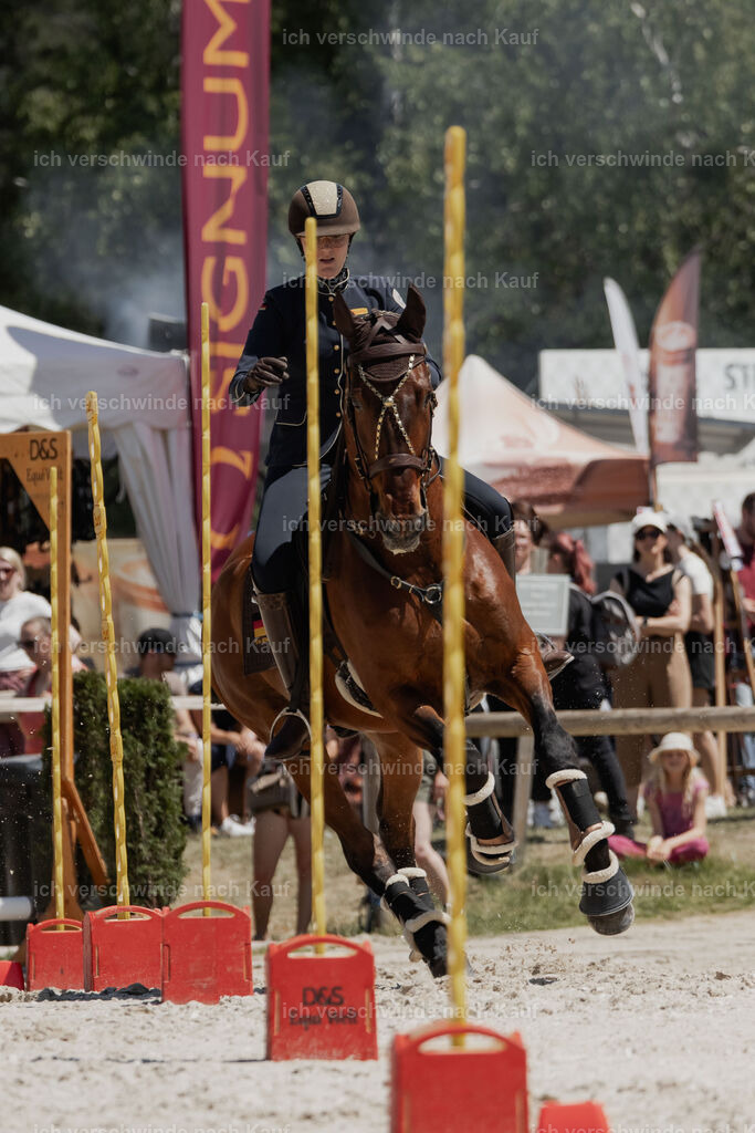 WE_SP_Stoib_340_PI2025_1952 | Pferd International München 2025