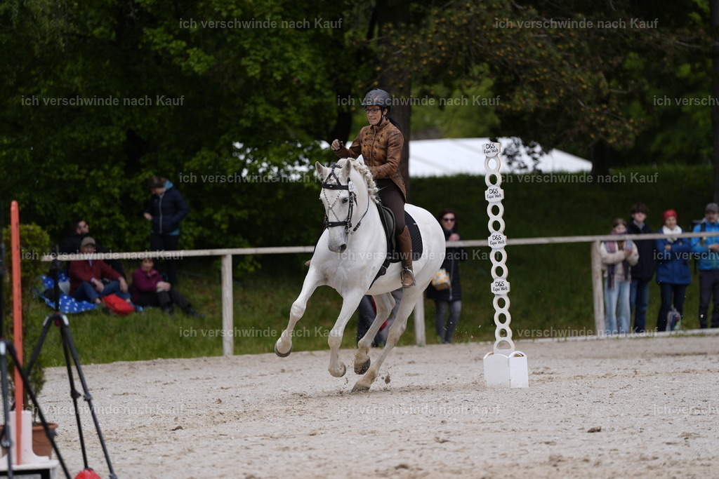 PI26_SP_Stoibphotography_DSC2569.JPG | working equitationturnier fotograf videograf stoibphotography marixx film working equitation deutschland reitsport turnierfotografie eventfotografie equestrian events