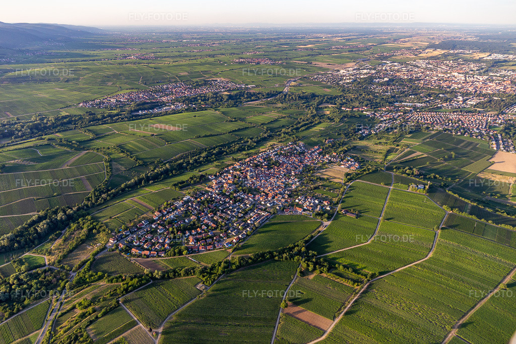 Luftbild: Arzheim im Ortsteil Arzheim in Landau im Bundesland Rheinland-Pfalz in Deutschland. Foto: IMG_133679.jpg vom 18.07.2022 durch Werner Riehm/FLY-FOTO.de/ Stadt Landau