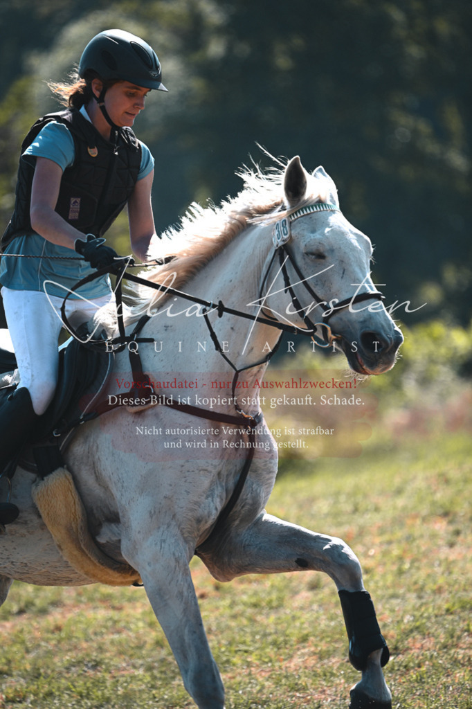 DSC_7971 | Pferde- und Turnierfotografie in Westsachsen. Pferdeportraits, Auftragszeichnungen und intuitive Kunst.