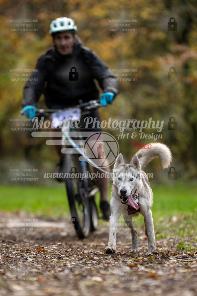 MompixPhotography_Bischwiller23_Bike-16 | PayLife