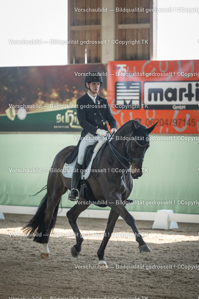 _D5A9277 | Emotionale Pferde- & People-Fotografie rund um Heidelberg, Leimen & Umgebung. Natürliche Fotos von Pferd, Mensch & Familie. Jetzt Termin sichern!