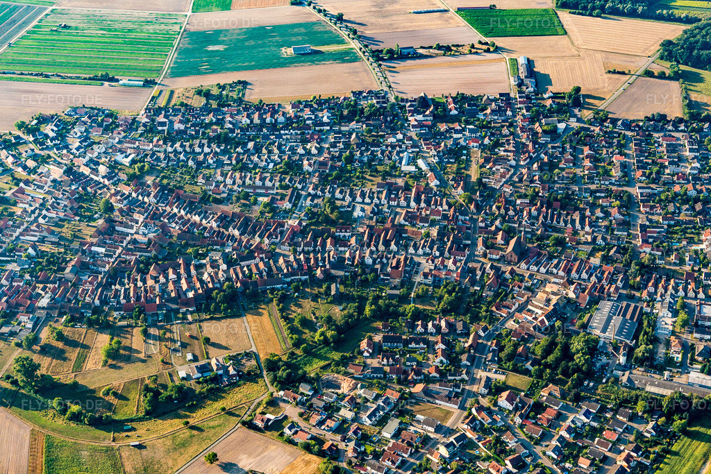 Luftbild: Ortsansicht am Rande von landwirtschaftlichen Feldern und Nutzflächen in Harthausen im Bundesland Rheinland-Pfalz in Deutschland. Foto: IMG_109598.jpg vom 31.07.2018 durch Werner Riehm/FLY-FOTO.de