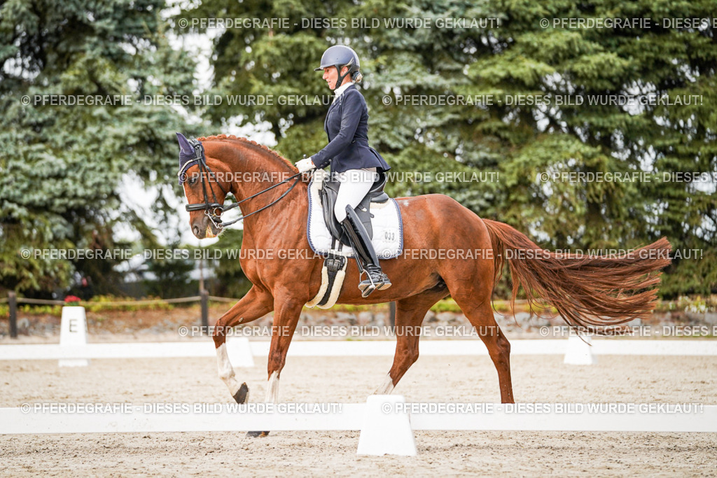 DSC09177 | Pferdegrafie