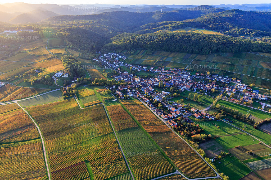 Luftbild: Weinberge in Herbstfarben am Winzerort im Ortsteil Pleisweiler in Pleisweiler-Oberhofen im Bundesland Rheinland-Pfalz in Deutschland. Foto: IMG_135116.jpg vom 22.10.2022 durch Werner Riehm/FLY-FOTO.de