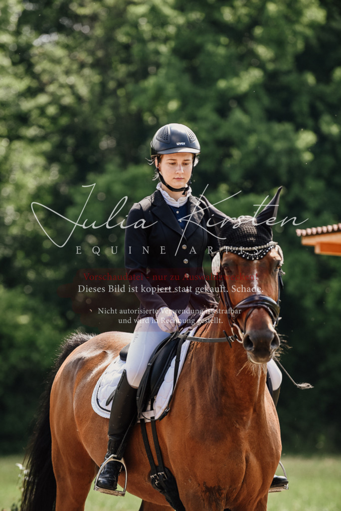 DSC_0429 | Pferde- und Turnierfotografie in Westsachsen. Pferdeportraits, Auftragszeichnungen und intuitive Kunst.