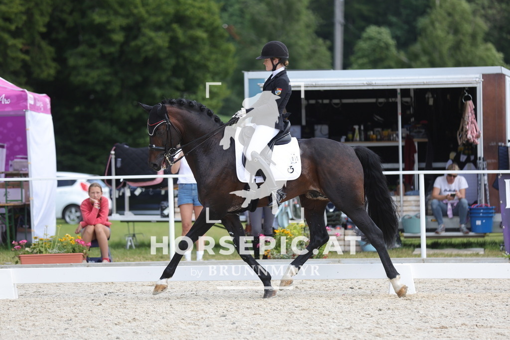 0P6A1164 | Willkommen bei Brunnmayr - Design & Fotografie – Ihrem Spezialisten für Reitturniere und Pferdeveranstaltungen in Oberösterreich, Salzburg und Bayern! Seit über 17 Jahren sind wir leidenschaftlich dabei.