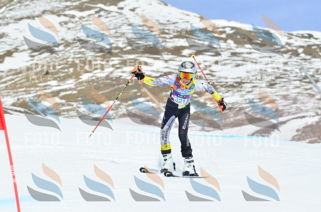 _ELE2476 | holidayphoto