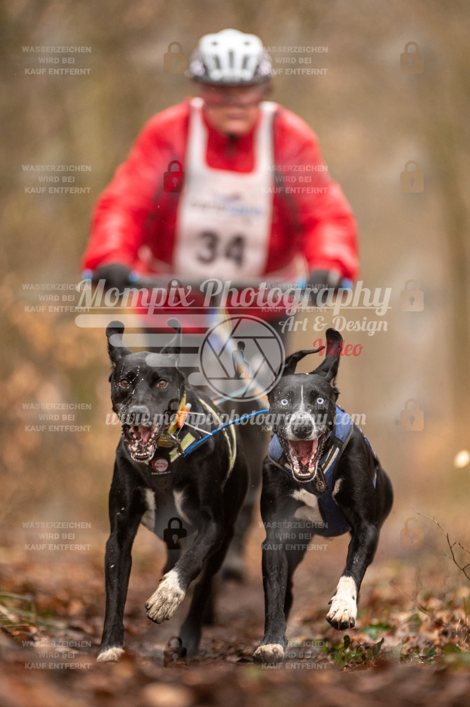 Reiat2023_SON_DS2_5km_2H-29 | mompixphotography