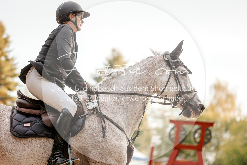 3I6A1599 | Stimmungsvolle Portraits und Reitsportfotografie im Ruhrgebiet und im Münsterland.

Pferdefotografie, Hundefotografie, Tierfotografie, Reportagen, Portraits von Tier und Mensch, Turnierfotografie in Bochum, Recklinghausen, Marl, Haltern am See, Dülmen.. - Realisiert mit Pictrs.com