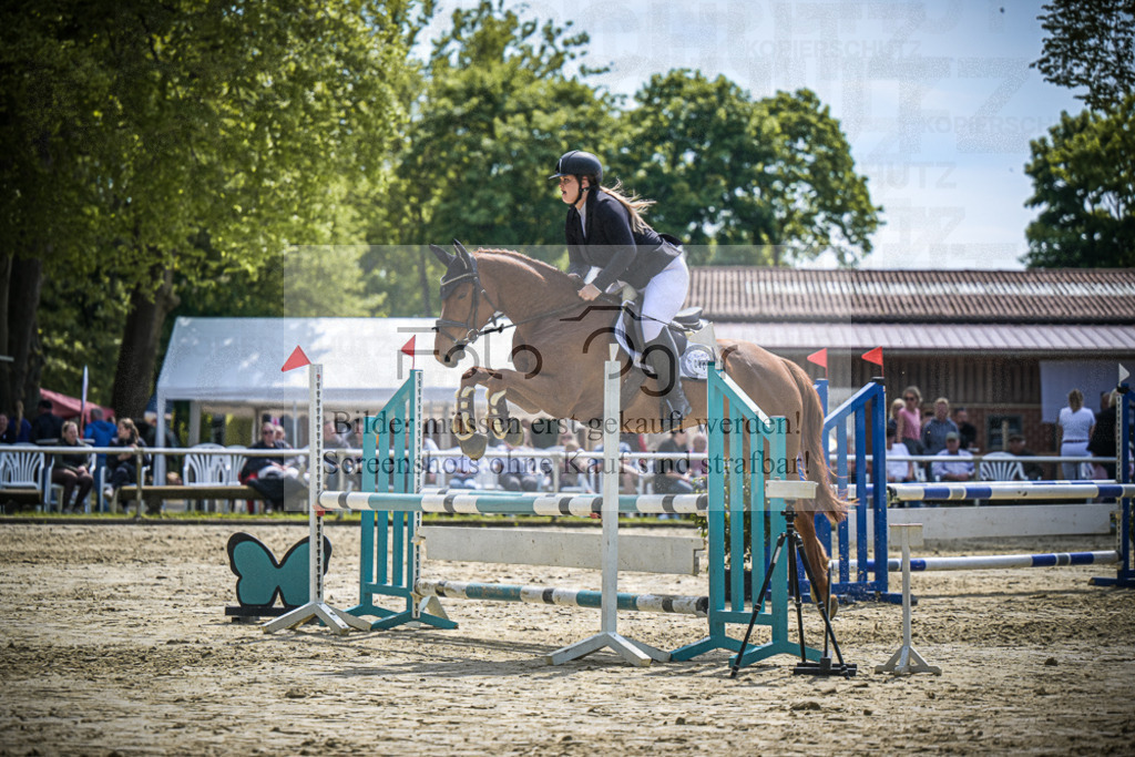 DOS_0008 | Entdecke hochwertige Reitturnierfotos von Foto Oger. Professionell, emotional und authentisch – jetzt Lieblingsmomente im Shop bestellen.Deutschlandweite Turnierfotografie. - Realisiert mit Pictrs.com