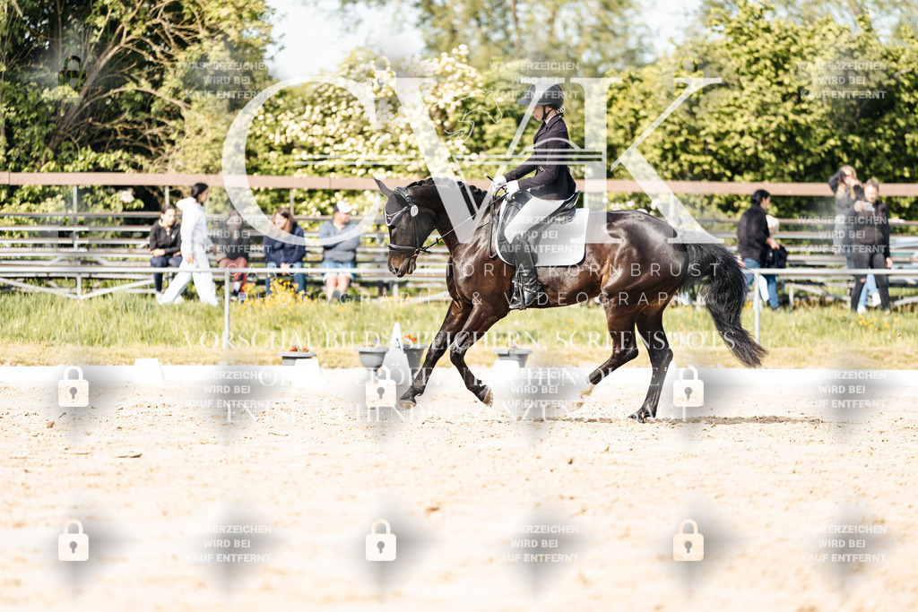CK900345 | Turnierfotografie Pferdefotografie Trier Rheinland-Pfalz Pferdesport Reitsport Tierfotografie Sportfotografie Pferdevideo Pferdevideografie Equestrianvideography equestrianphotography  - Realisiert mit Pictrs.com