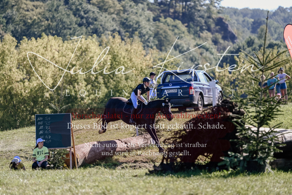 DSC_3542 | Pferde- und Turnierfotografie in Westsachsen. Pferdeportraits, Auftragszeichnungen und intuitive Kunst.