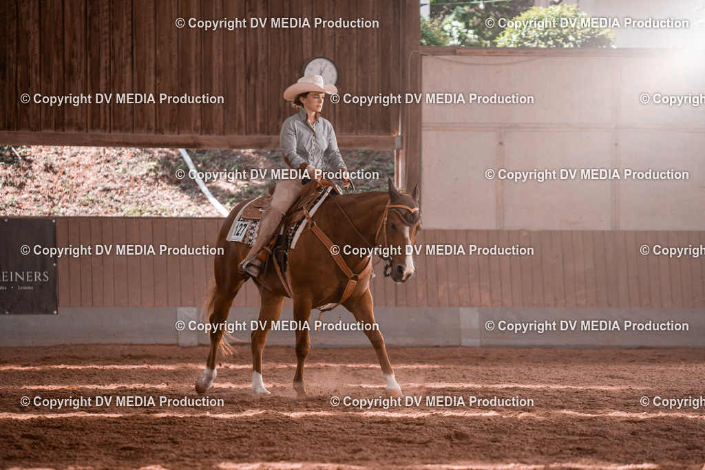 NE100509 | dv-media-shop - Realisiert mit Pictrs.com