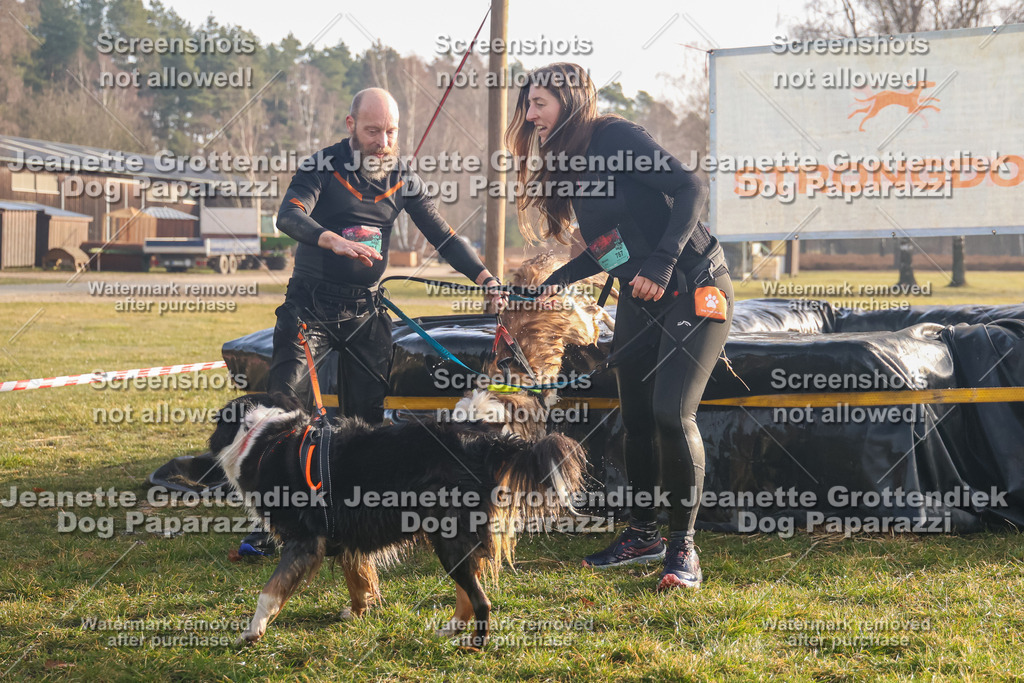 Dog Paparazzi - SD North 0326 900930-159 | Dog Paparazzi Jeanette Grottendiek Fotografie & Videografie - Realisiert mit Pictrs.com