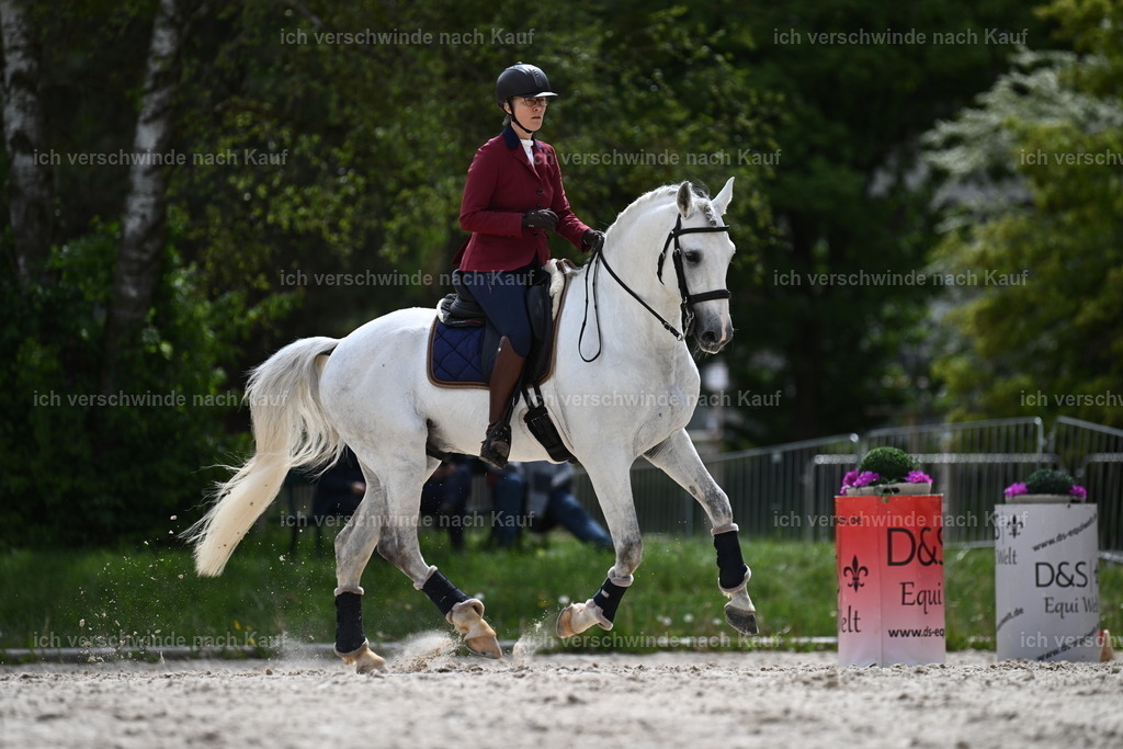 PI26_ST_Sara_Landvogt226_3730.JPG | working equitationturnier fotograf videograf stoibphotography marixx film working equitation deutschland reitsport turnierfotografie eventfotografie equestrian events