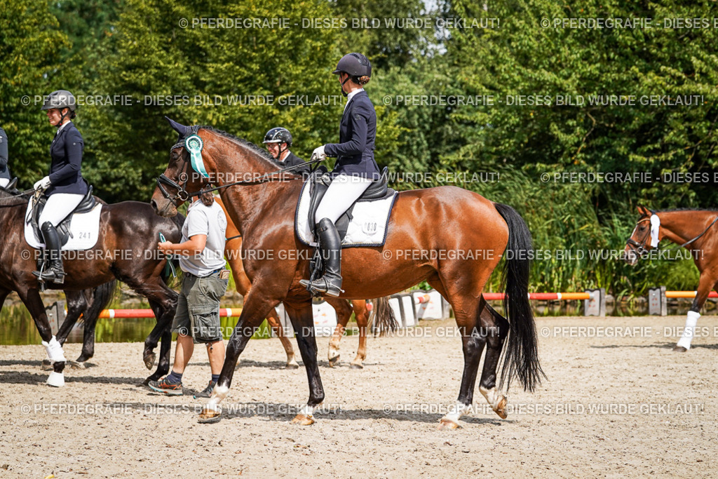 DSC02415 | Pferdegrafie