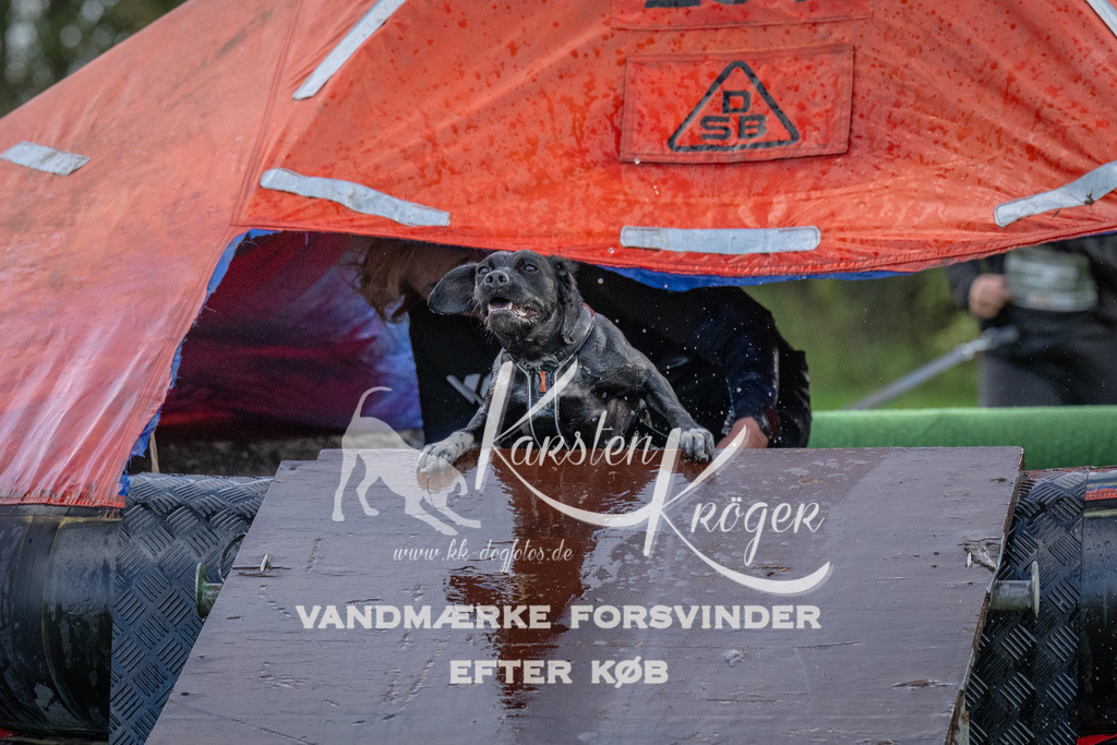 1226-93729 | kk-dogfotos