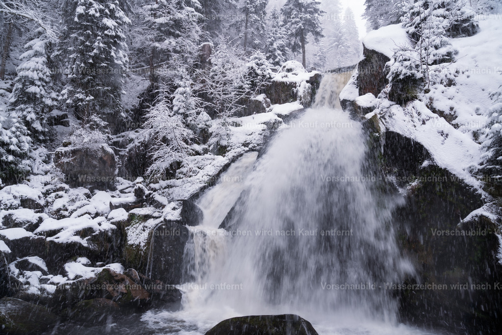 DSC01115-2 | marcuslinek