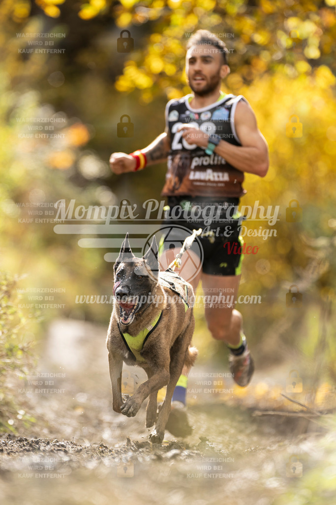 MompixPhotography_ICF_WC_2024_SA_Run_-76 | PayLife