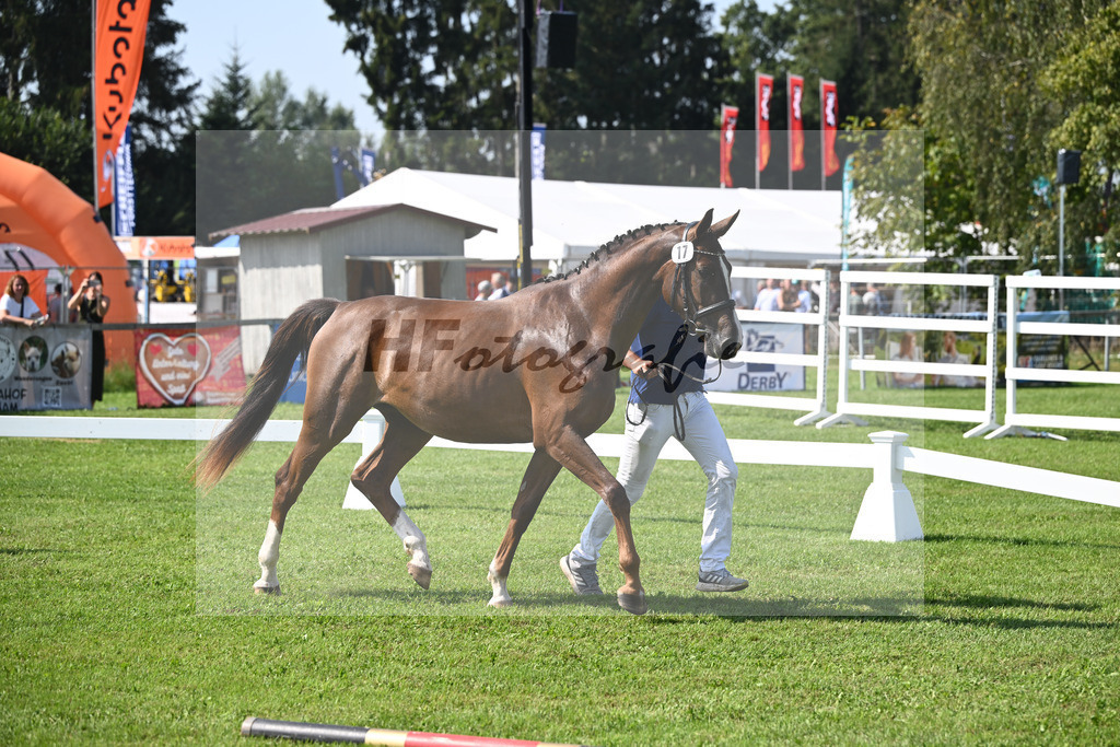 Kat-Nr. 17 nn v. Chardonnay_Wimmer_34240443 | hf-fotografie - Realisiert mit Pictrs.com