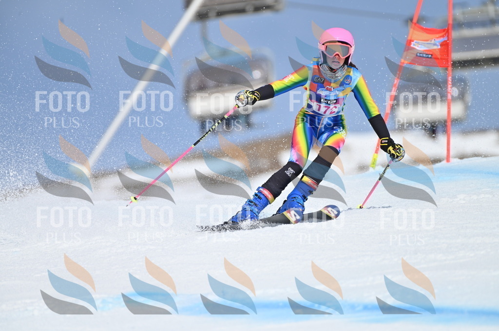 BGV_0468 | holidayphoto