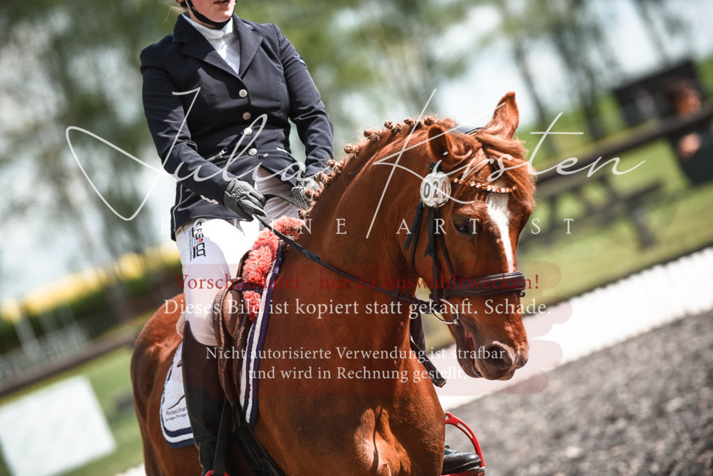 DSC_9042 | Pferde- und Turnierfotografie in Westsachsen. Pferdeportraits, Auftragszeichnungen und intuitive Kunst.
