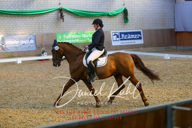 IMG_2700 | Turnierfotos kaufen im Webshop von Daniel Kuhl Photography – entdecke professionelle Reitsportfotos aus Turnieren & Events. Hochwertige Turnierbilder online bestellen & sichern. Jetzt Fotos von Reitsportturnieren kaufen!