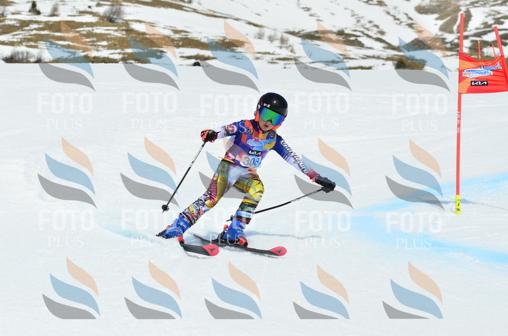 _ELE2303 | holidayphoto