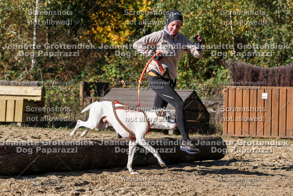 Dog Paparazzi - Strongdog 10-25-2756 | Dog Paparazzi Jeanette Grottendiek Fotografie & Videografie - Realisiert mit Pictrs.com