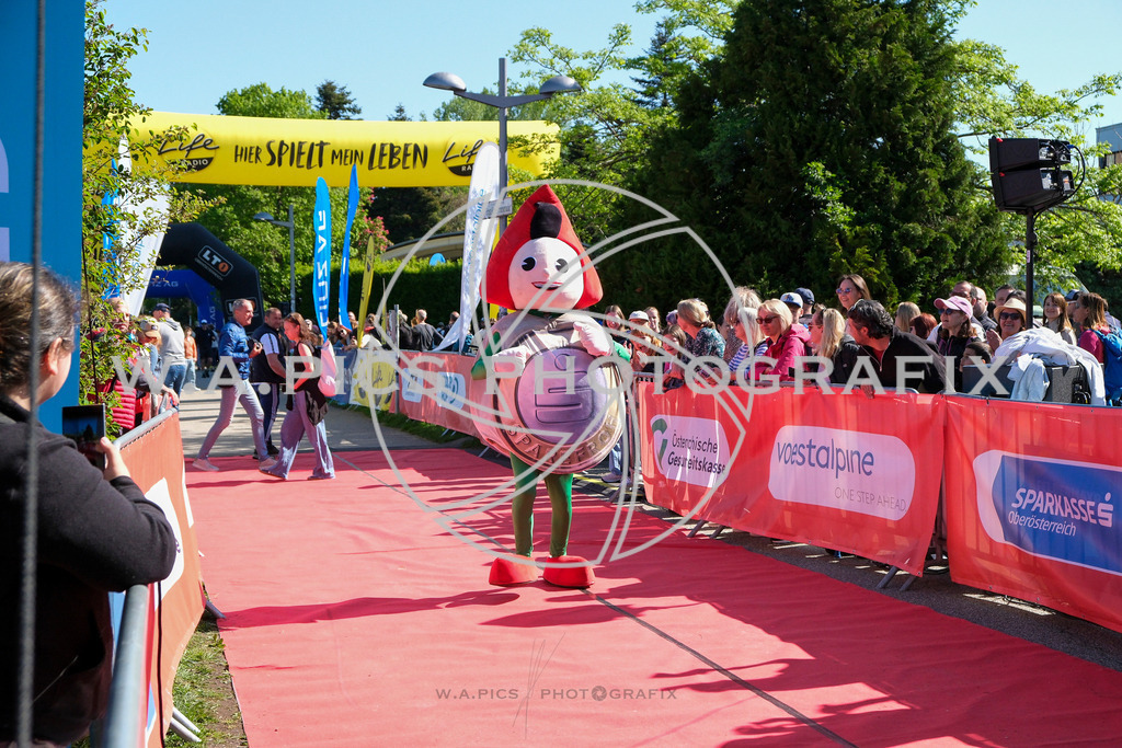 ..... | LINZ,AUSTRIA,27.April 24, Int. 3 Brückenlauf Linz  , Image shows: Photo: WAPICS / Michael ring