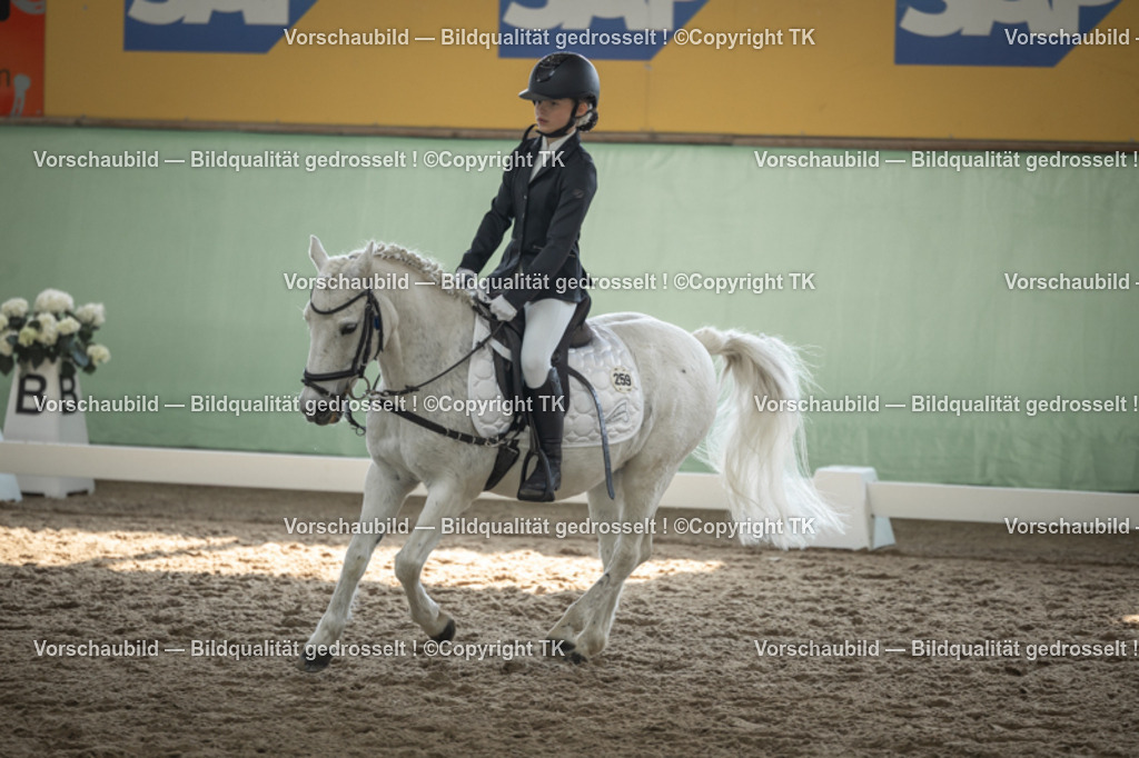 _D5A5703 | Emotionale Pferde- & People-Fotografie rund um Heidelberg, Leimen & Umgebung. Natürliche Fotos von Pferd, Mensch & Familie. Jetzt Termin sichern!