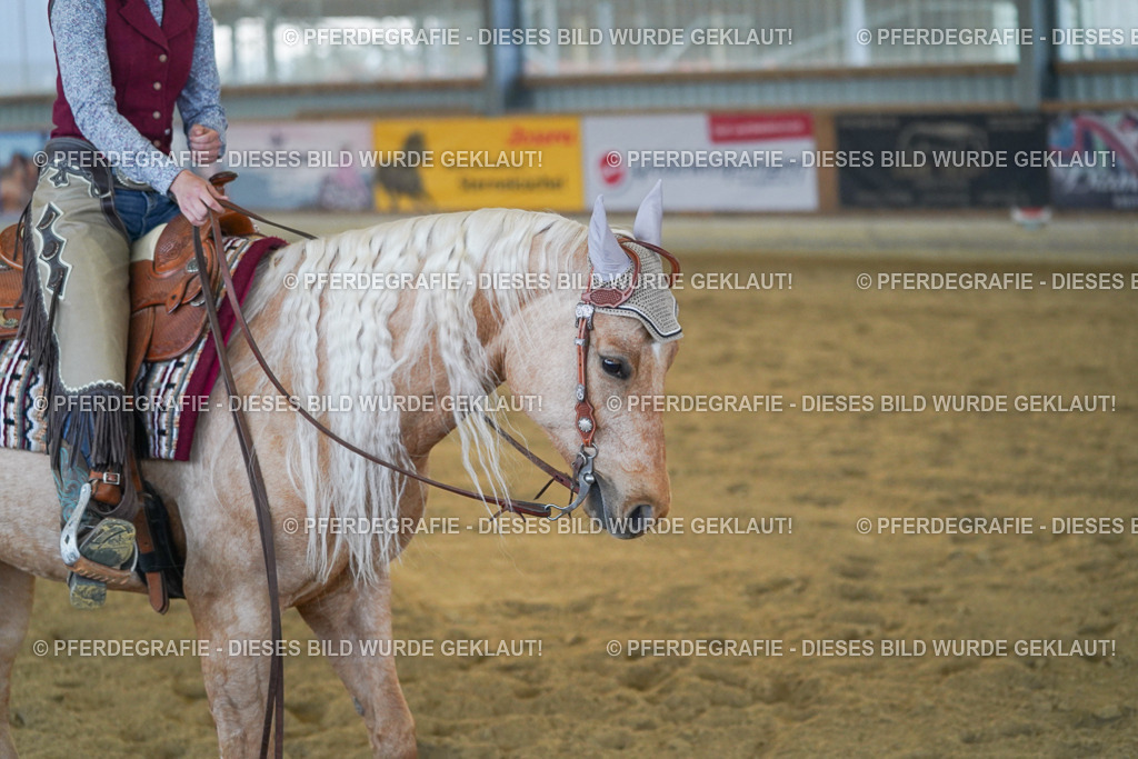 DSC08961 | Pferdegrafie