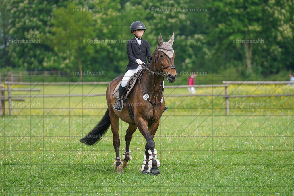 20240509-FAH02155 | Turnierbilder der Turnierfotografen Bayern, Pferdesport Fotografie, Reitsportbilder, Turnier Landberg am Lech, Turnierbilder bayern, Fotoagentur Herrmann