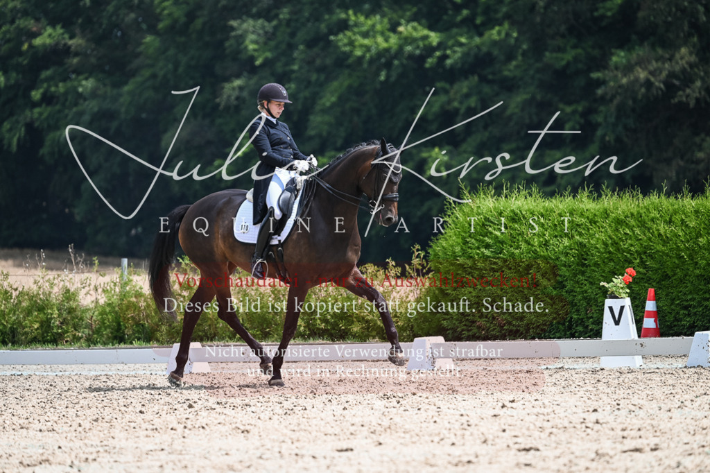 DSC_2567 | Pferde- und Turnierfotografie in Westsachsen. Pferdeportraits, Auftragszeichnungen und intuitive Kunst.