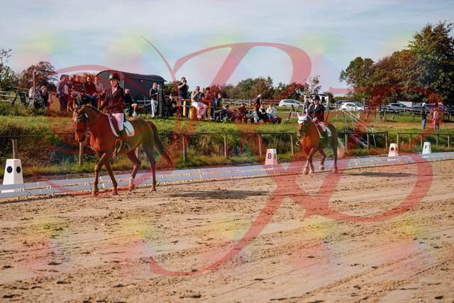 2026_10_03_Siefer-Hof_114222_Z63_23874643 | Professionelle Reitsport-, Turnier- und Eventfotografie von Robert Broda. Galerien mit ausgewählten und bearbeiteten Bildern direkt online ansehen und bestellen.