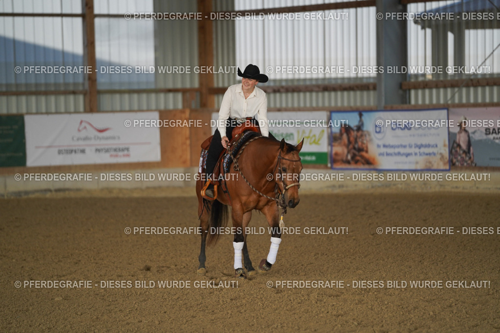 DSC08657 | Pferdegrafie