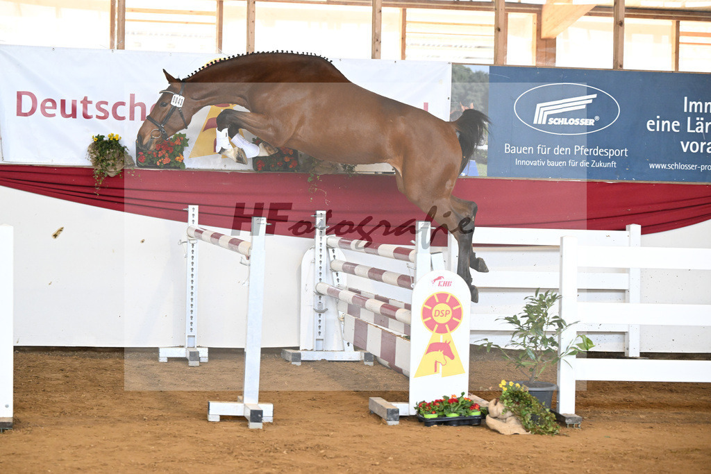 Kat-Nr. 43 Ehawee v. Colestus_Fischer_16251021 | hf-fotografie - Realisiert mit Pictrs.com