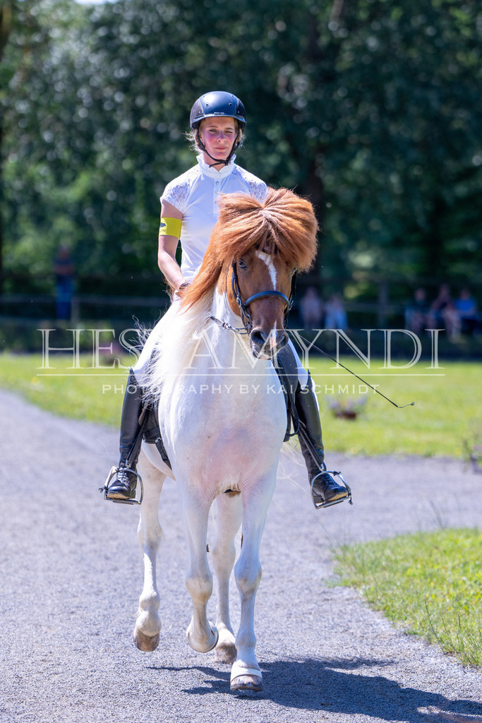 KAI09294 | Ihr sucht einen Fotografen für eure nächste OSI? Ich begleite auch euer Turnier für Islandpferde fotografisch.  - Realisiert mit Pictrs.com