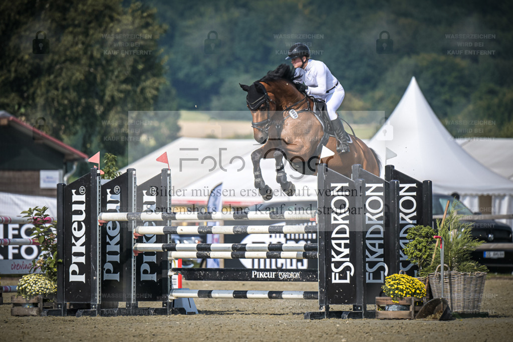 DOS_3539 | Entdecke hochwertige Reitturnierfotos von Foto Oger. Professionell, emotional und authentisch – jetzt Lieblingsmomente im Shop bestellen. - Realisiert mit Pictrs.com