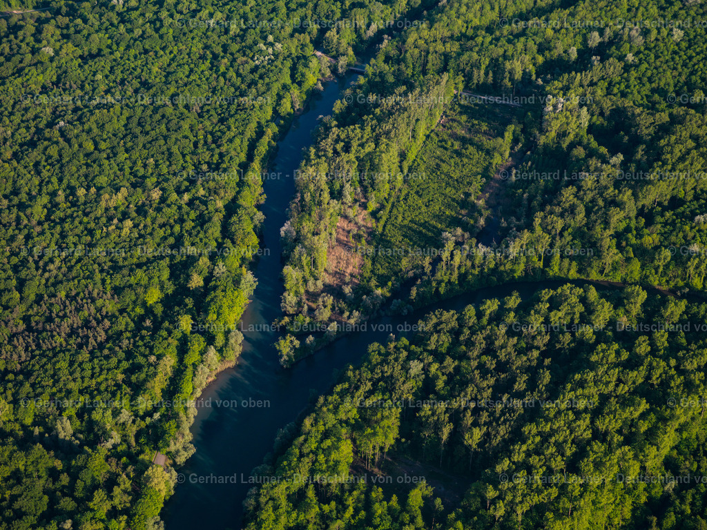 3096083 | Rheinauen bei Weisweil