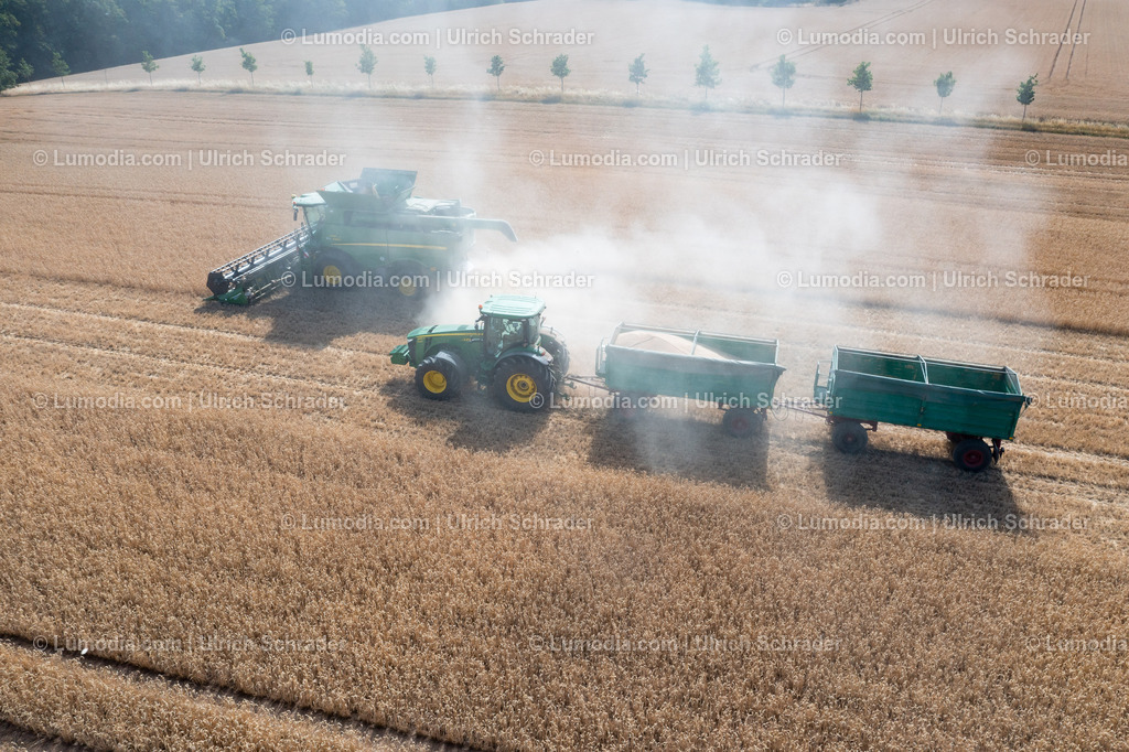 10049-51585 - Getreideernte | Stockfoto und Bilderpool mit Bildmaterial aus Deutschland, dem Harz, Halberstadt, Quedlinburg, Wernigerode und weltweit. Qualitativ hochwertige und professionelle Fotos anschauen und kaufen. - Realisiert mit Pictrs.com
