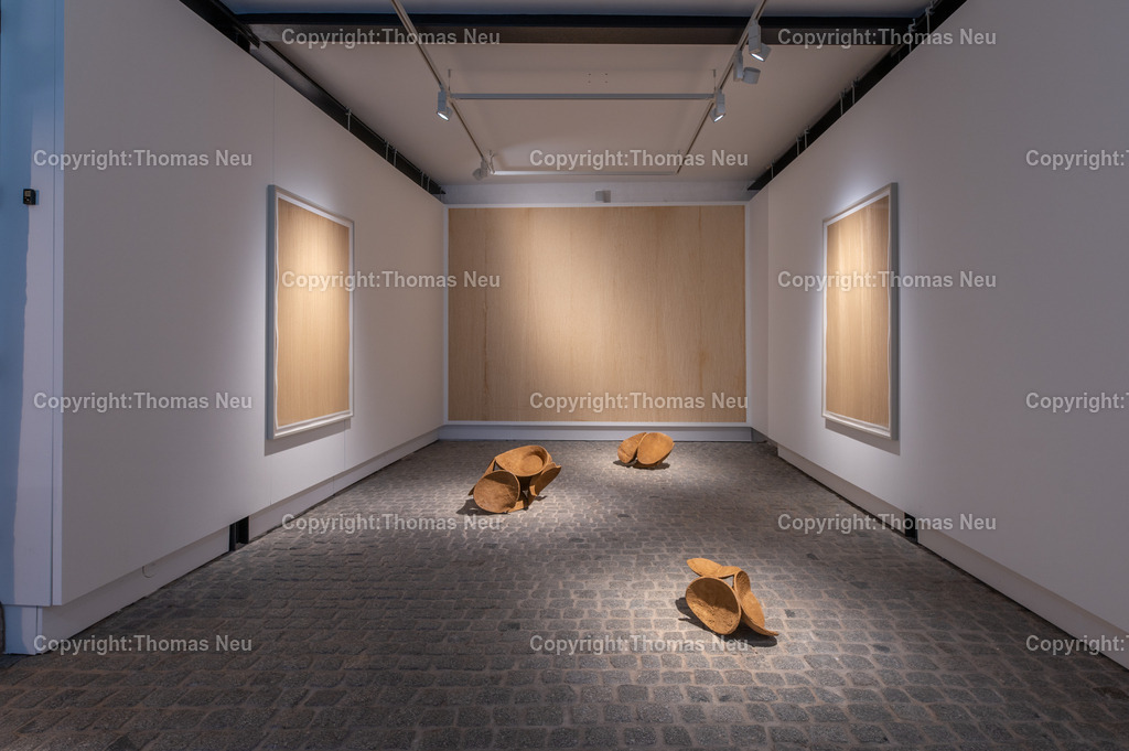 DSC_0381 | Jonas Wendelin zeigt großformatige Skulpturen und Rauminstallationen aus Ton und Lehm, basierend auf 3D‑Scans von organischen Materialien wie verrottenden Baumstämmen und archäologischen Gefäßen aus der Museums‑Sammlung. Diese Arbeiten thematisieren Material als Archiv und Informationsträger, Erosion und Zerstörung — sowohl formal als auch inhaltlich. Die Werke schaffen Spannungsfelder zwischen haptischer Realität und digitaler Wahrnehmung, und lassen Wahrnehmungskategorien wie natürlich oder künstlich verschwimmen. 
