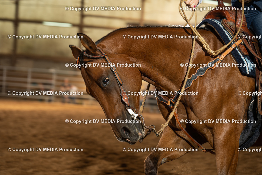 NID01697 | dv-media-shop - Realisiert mit Pictrs.com