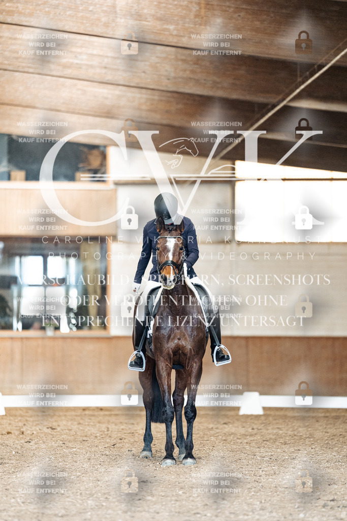 CK901432 | Turnierfotografie Pferdefotografie Trier Rheinland-Pfalz Pferdesport Reitsport Tierfotografie Sportfotografie Pferdevideo Pferdevideografie Equestrianvideography equestrianphotography  - Realisiert mit Pictrs.com