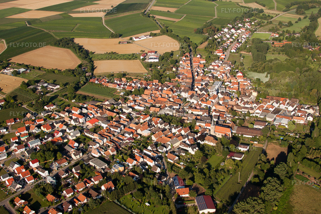 Luftbild: Ortsübersicht aus Nordosten im Ortsteil Ingenheim in Billigheim-Ingenheim im Bundesland Rheinland-Pfalz in Deutschland. Foto: IMG_30917.jpg vom 07.08.2010 durch Werner Riehm/FLY-FOTO.de